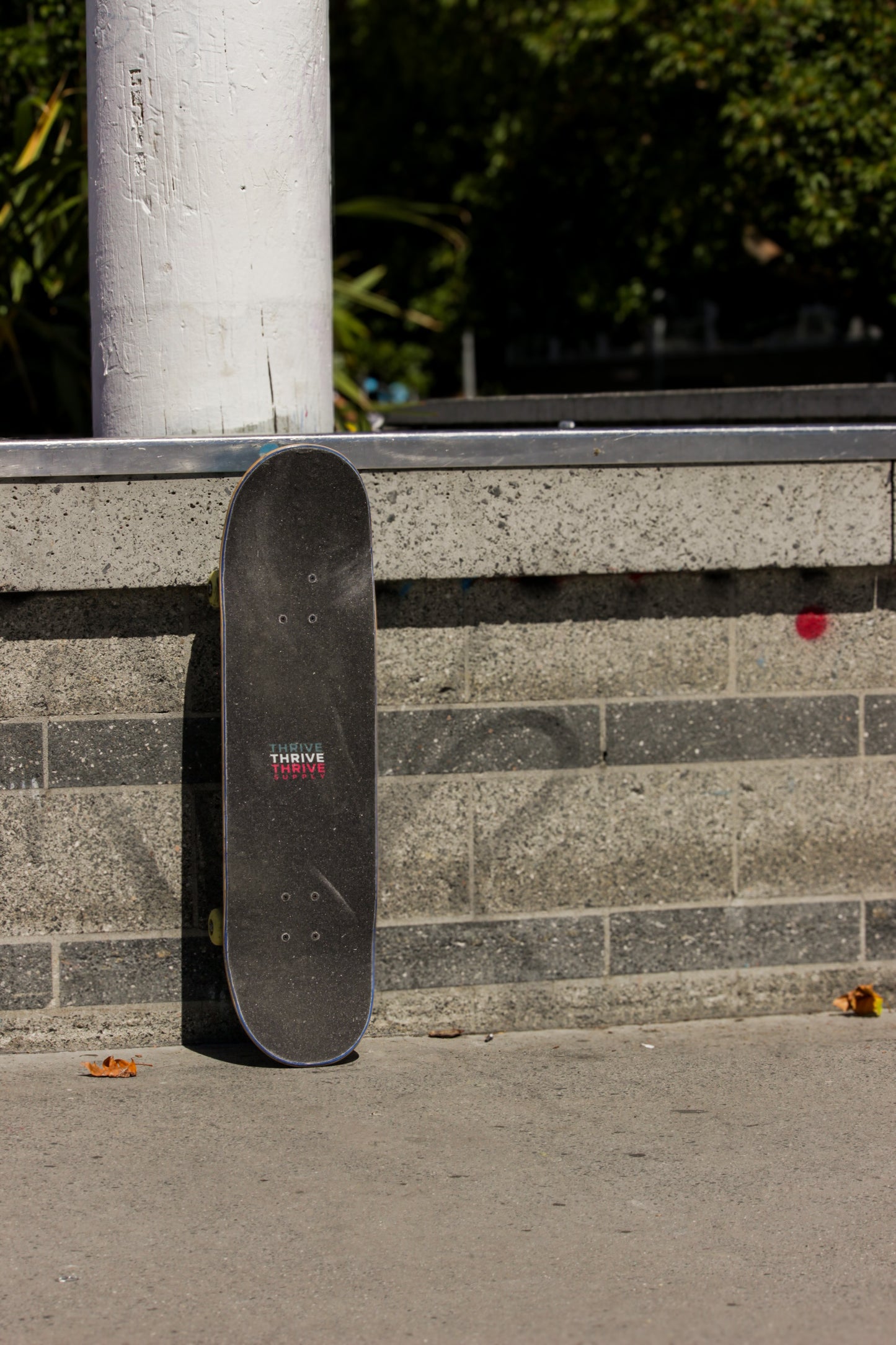 Trifecta Logo - Skateboard Griptape
